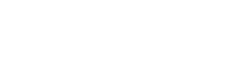 James Bond 007 icon