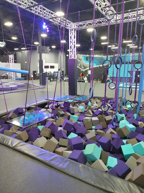 Jumping Cholla photo 3