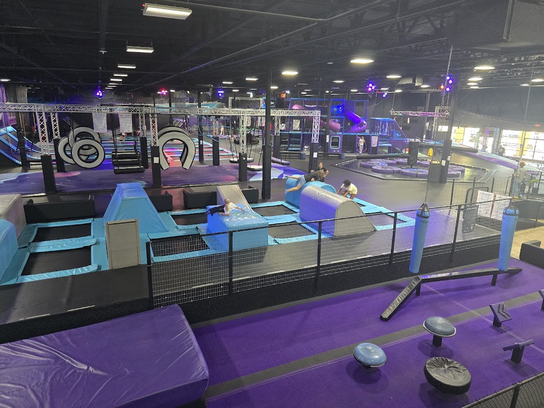 Jumping Cholla photo 2