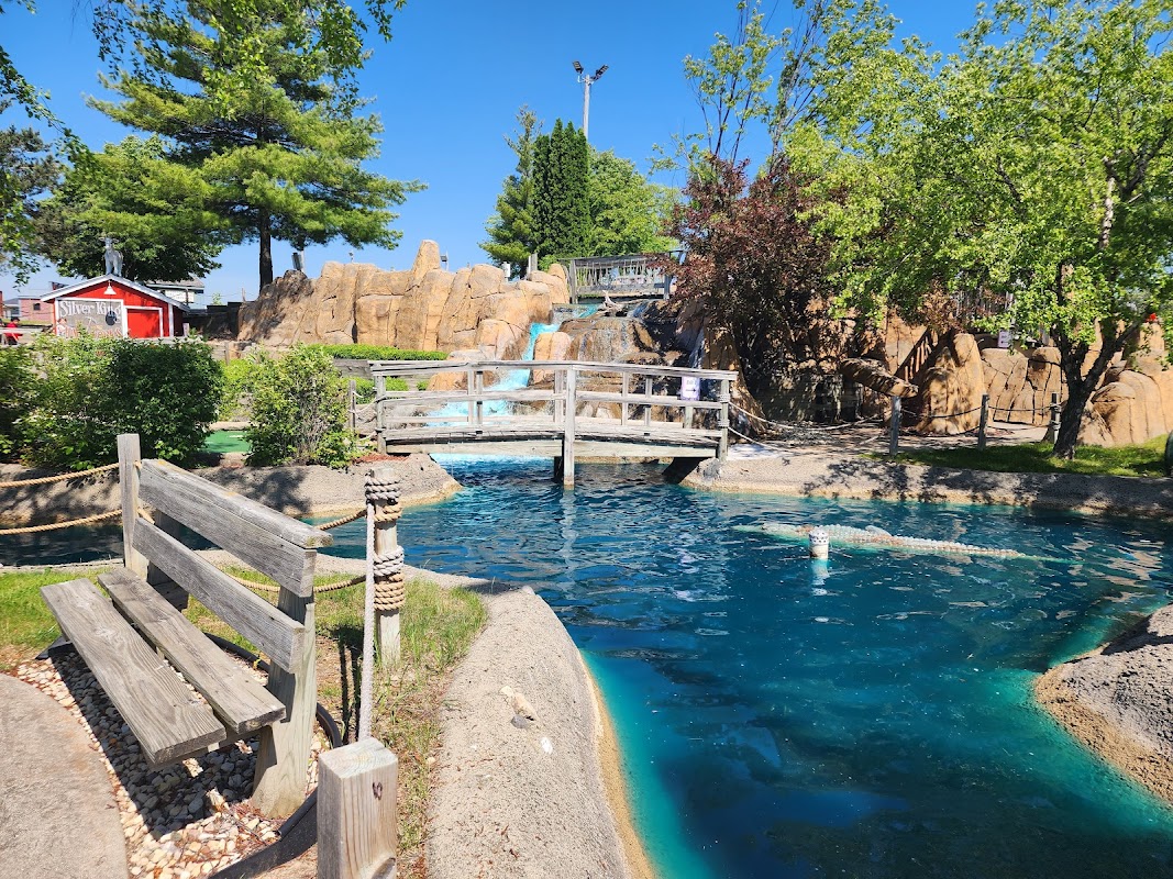 America's Action Territory photo 8