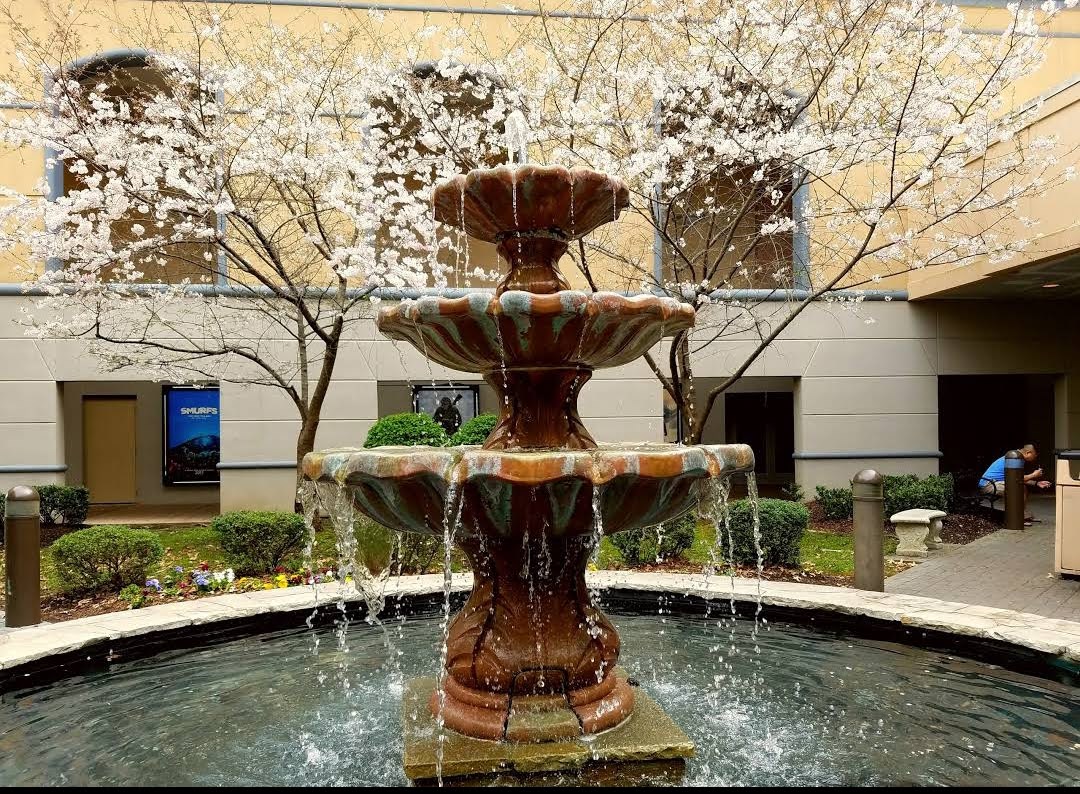 AMC DINE-IN Thoroughbred 20 photo 4