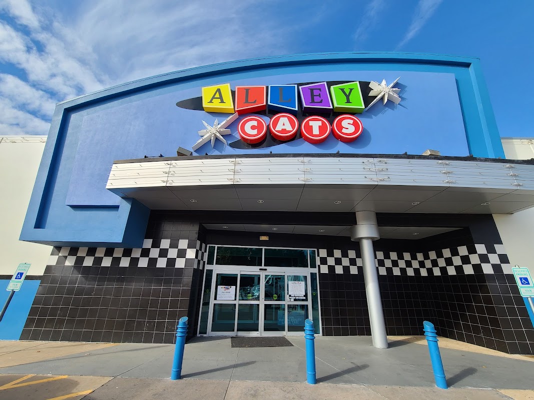 Alley Cats Entertainment Arlington photo 5