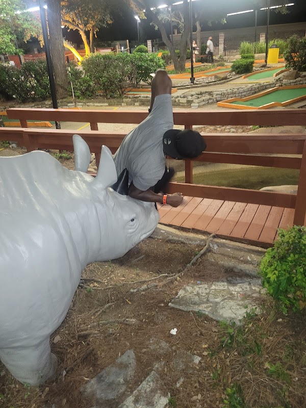 Alley Cats Entertainment Arlington photo 10