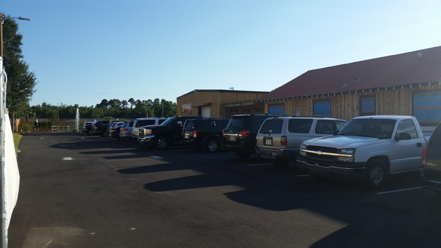 Bananas Mini Golf And Arcade photo 1