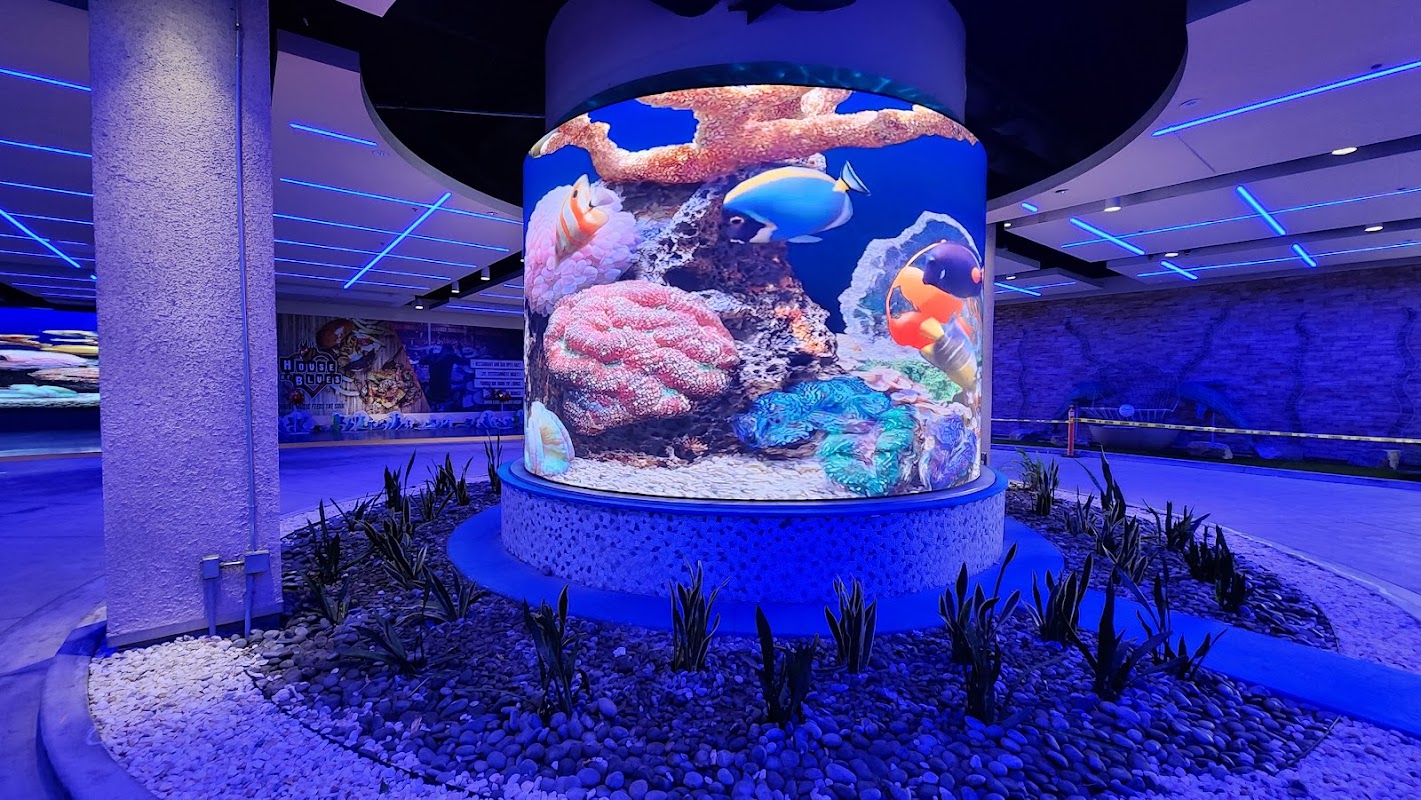 Bowlero Anaheim photo 2