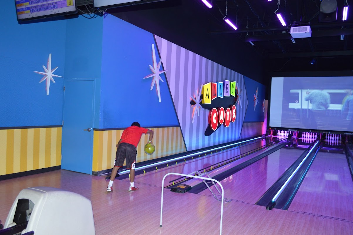 Alley Cats Entertainment Arlington photo 2