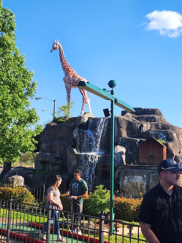 Adventure Landing Winston-Salem photo 2