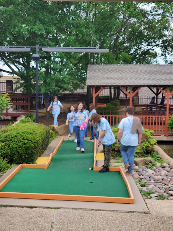 Alley Cats Entertainment Arlington photo 6