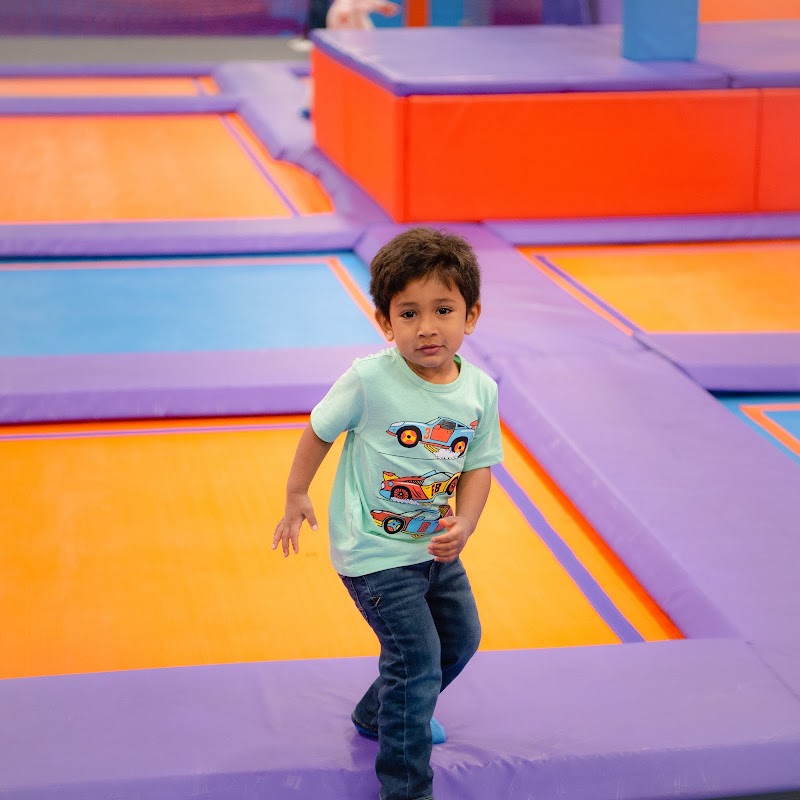 Altitude Lombard photo 9