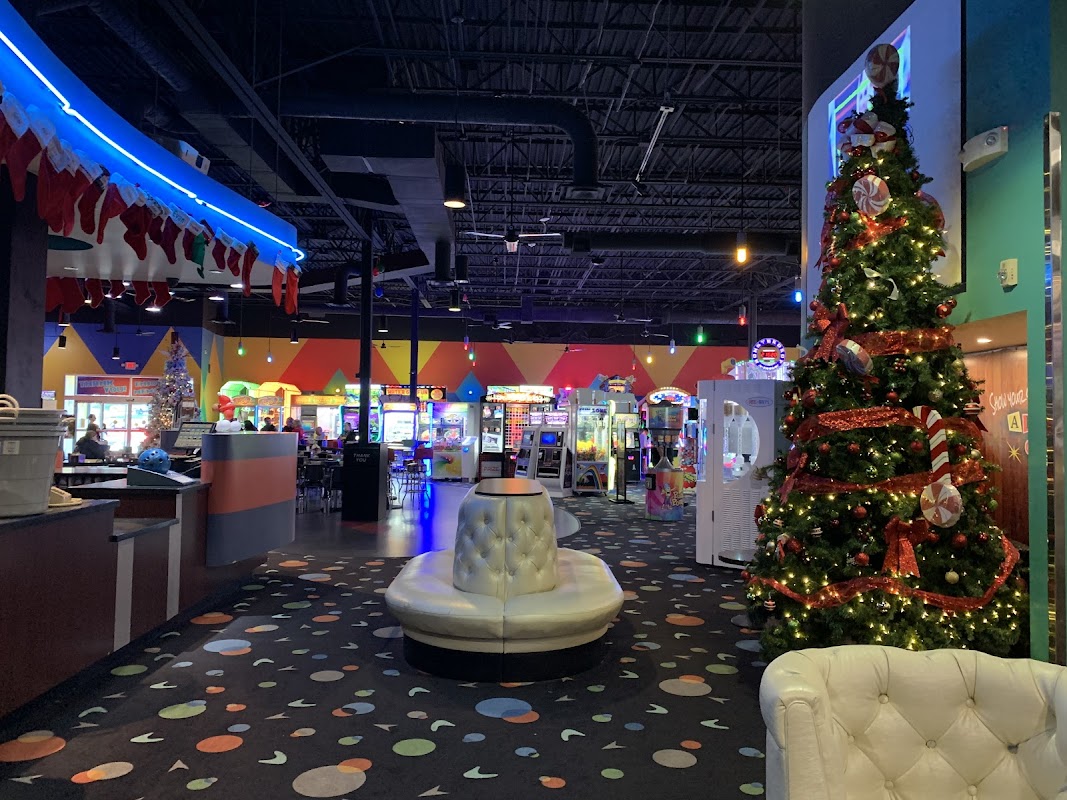 Alley Cats Entertainment Arlington photo 4